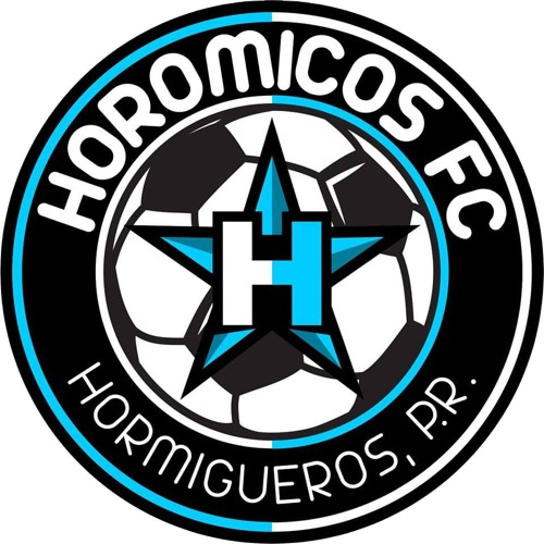 Logo de Horomicos FC